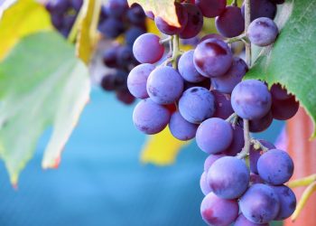 découvrez comment les augmentations des tarifs d'assurance automobile peuvent impacter votre budget. informez-vous sur les facteurs qui influencent ces hausses et les moyens de les contrecarrer pour économiser sur votre prime d'assurance.