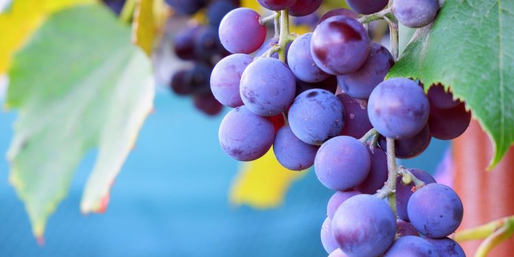 découvrez comment les augmentations des tarifs d'assurance automobile peuvent impacter votre budget. informez-vous sur les facteurs qui influencent ces hausses et les moyens de les contrecarrer pour économiser sur votre prime d'assurance.