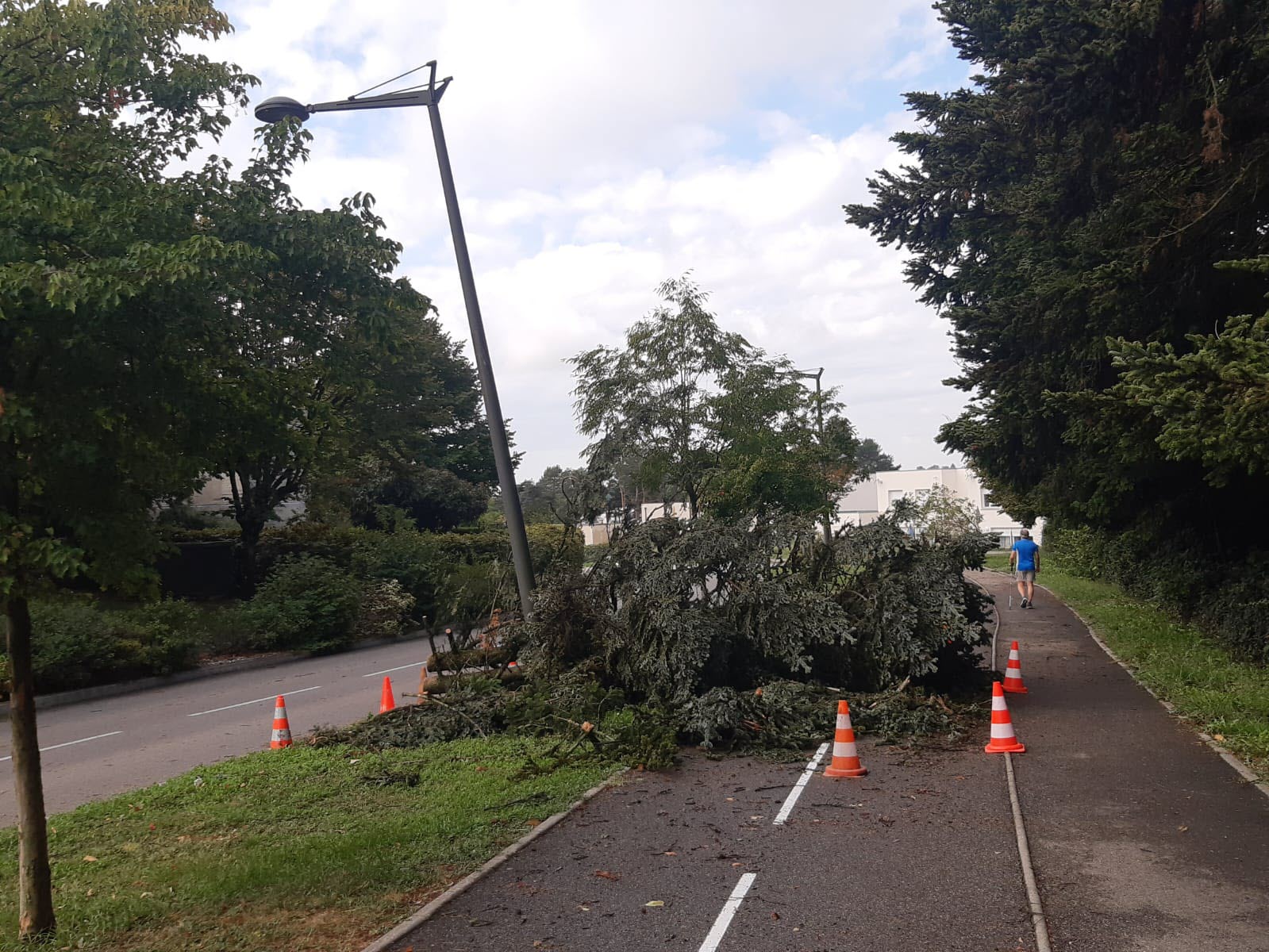découvrez comment bénéficier d'une indemnisation pour les dommages causés par les orages et la grêle sur vos véhicules en île-de-france. informez-vous sur les démarches à suivre et les conditions nécessaires pour obtenir un remboursement efficace.