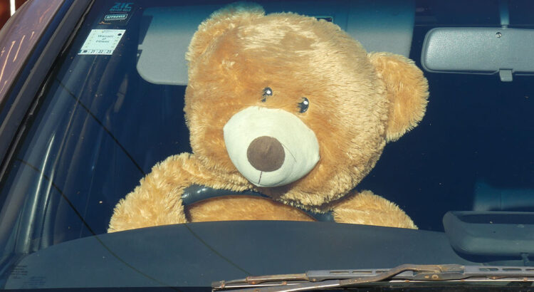 trois américains arrêtés pour fraude après s'être déguisés en ours pour commettre leurs méfaits.