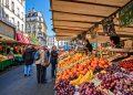 analyse du marché de l'assistance en france en 2025, avec une croissance soutenue principalement par le secteur automobile.