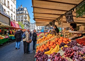 analyse du marché de l'assistance en france en 2025, avec une croissance soutenue principalement par le secteur automobile.