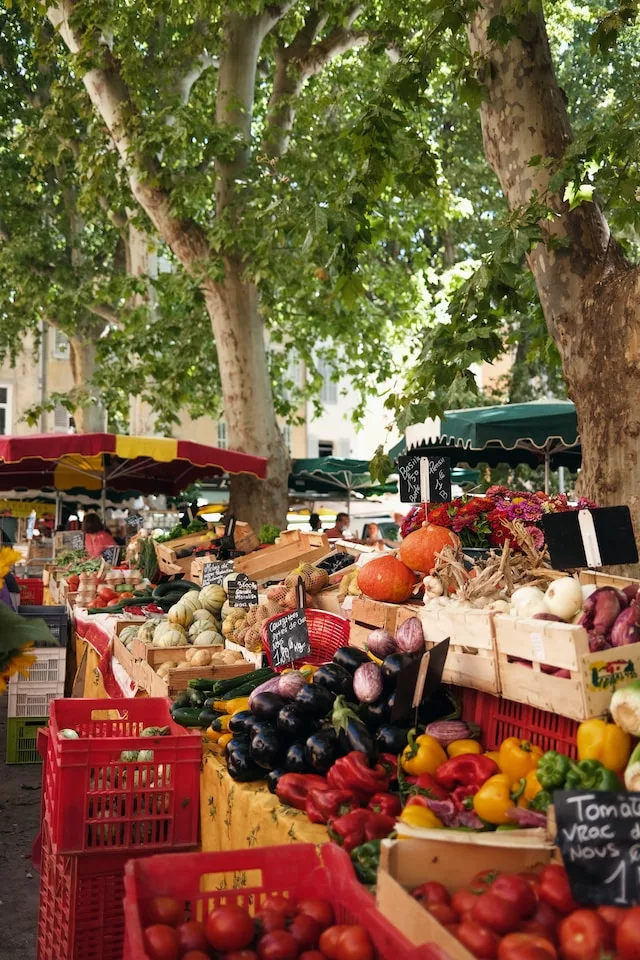 découvrez les perspectives du marché de l'assistance en france en 2025, avec une croissance soutenue principalement par le secteur automobile et ses innovations.