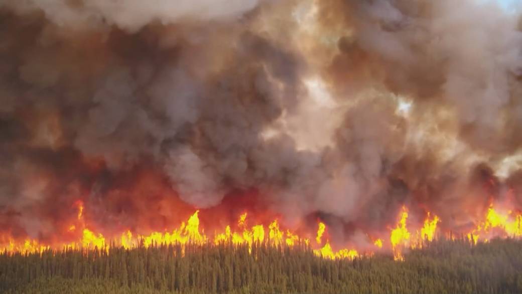 découvrez comment gérer efficacement les réservations en période d'incendies en france pour assurer sécurité et organisation optimale.