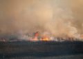 découvrez comment gérer efficacement les réservations en période d'incendies en france pour assurer sécurité et organisation optimale.