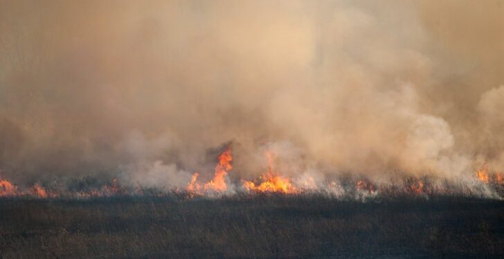découvrez comment gérer efficacement les réservations en période d'incendies en france pour assurer sécurité et organisation optimale.