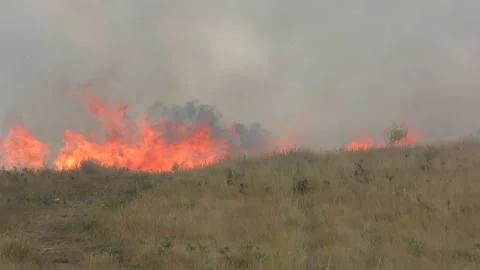 découvrez comment gérer efficacement les réservations face aux incendies en france pour assurer la sécurité et la continuité de vos activités.